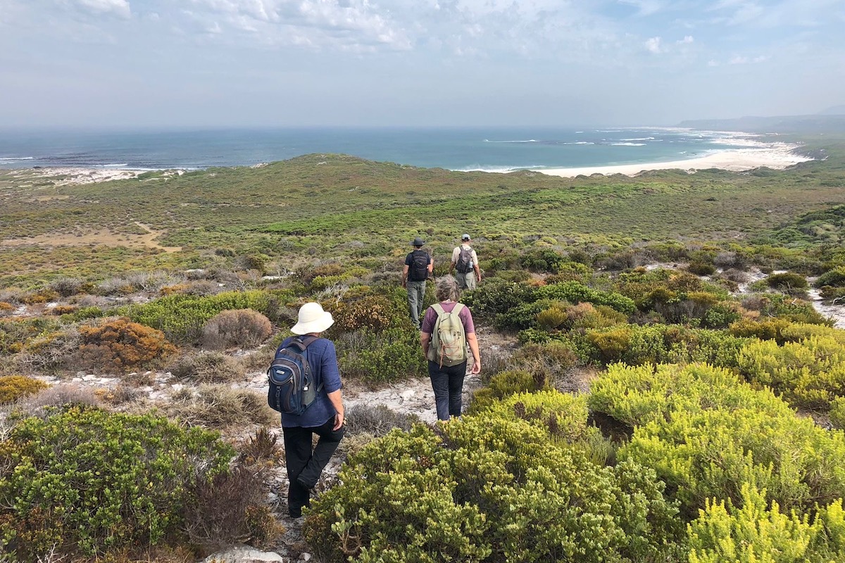 Gifkommetjie Hike Cape Point